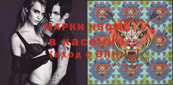 PSILOCYBIN Кукмор