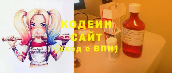 стаф Кулебаки