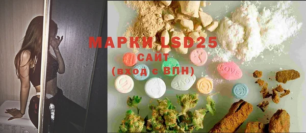 PSILOCYBIN Кукмор