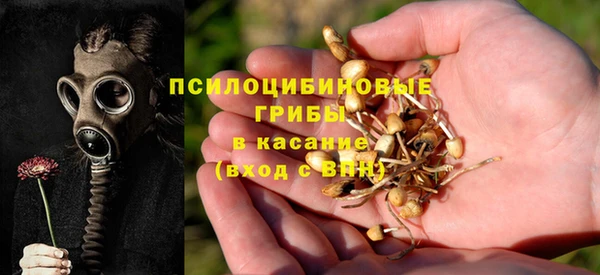 прущая мука Краснослободск