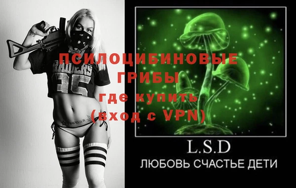 ALPHA PVP Богородицк