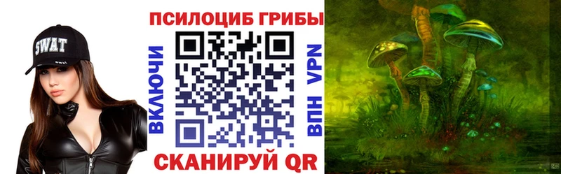 сколько стоит  Киров  Псилоцибиновые грибы мицелий 
