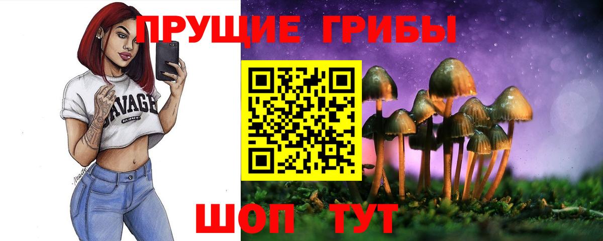 Киров  Псилоцибиновые грибы мухоморы  Псилоцибиновые грибы Psilocybe  Вход с VPN 