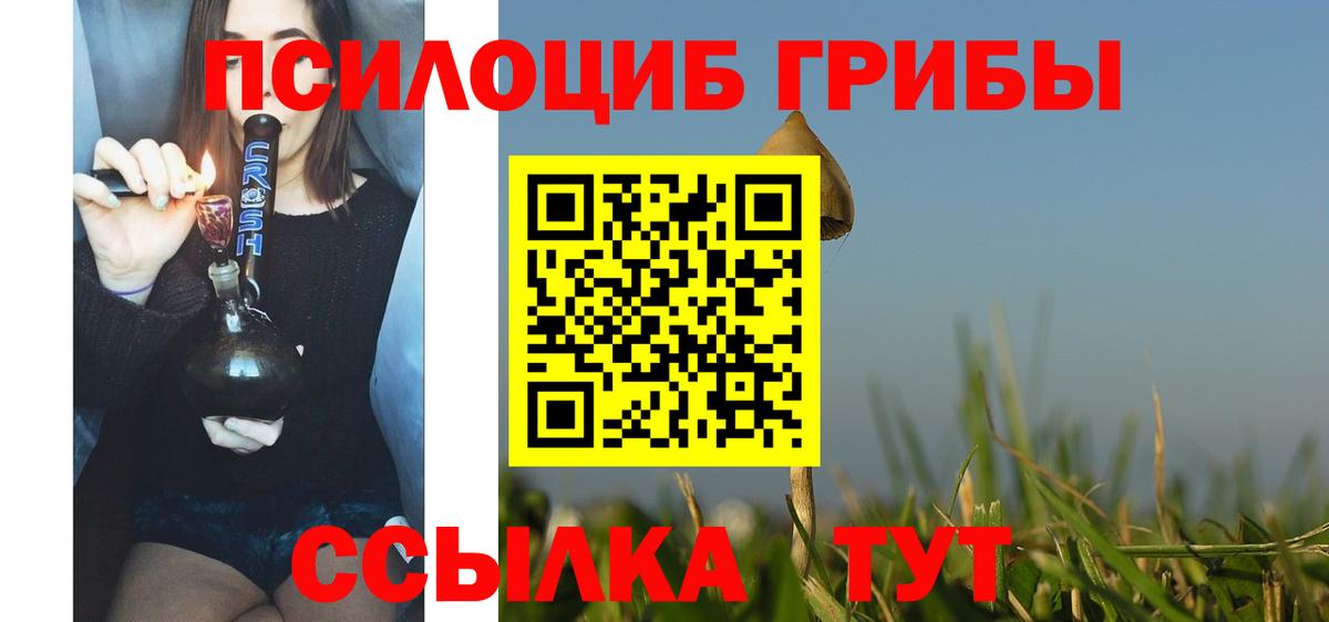 Псилоцибиновые грибы Magic Shrooms Киров